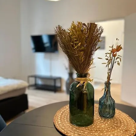 公寓 Limburgs Herzstueck 拉恩河畔林堡